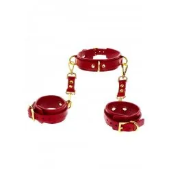 Taboom D-ring Collar And Wrist Cuffs